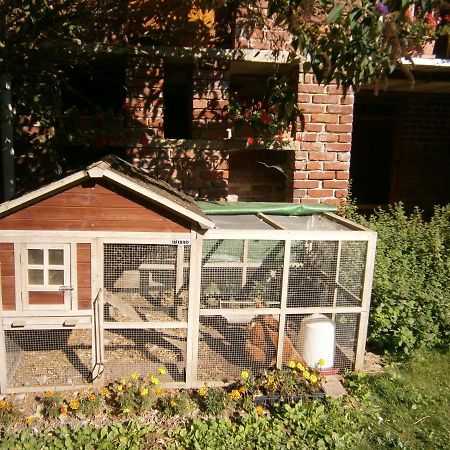 Bed and Breakfast Aux Sources De L'Ancre Miraumont Esterno foto