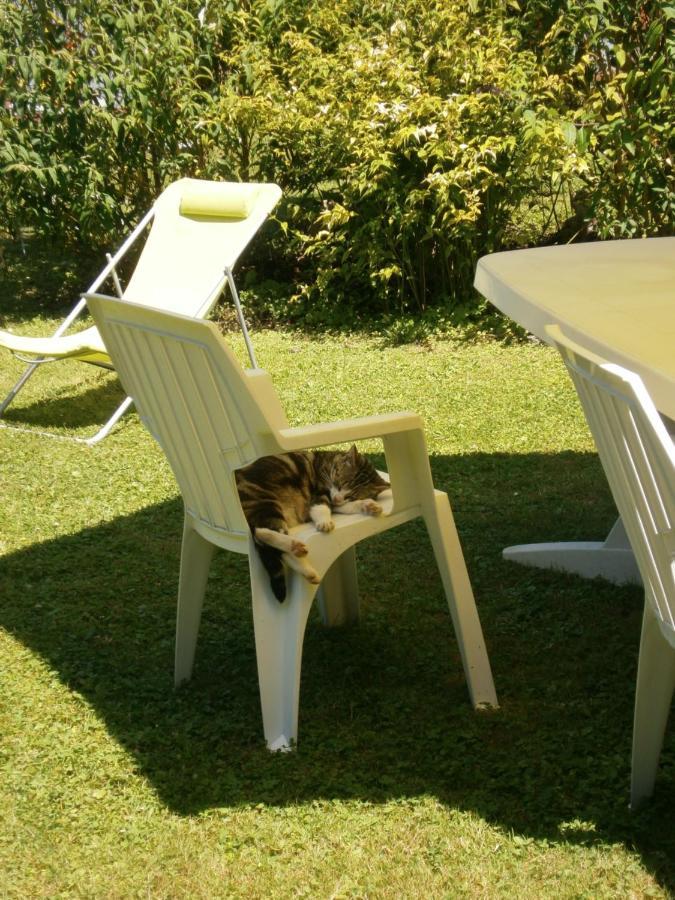 Bed and Breakfast Aux Sources De L'Ancre Miraumont Esterno foto